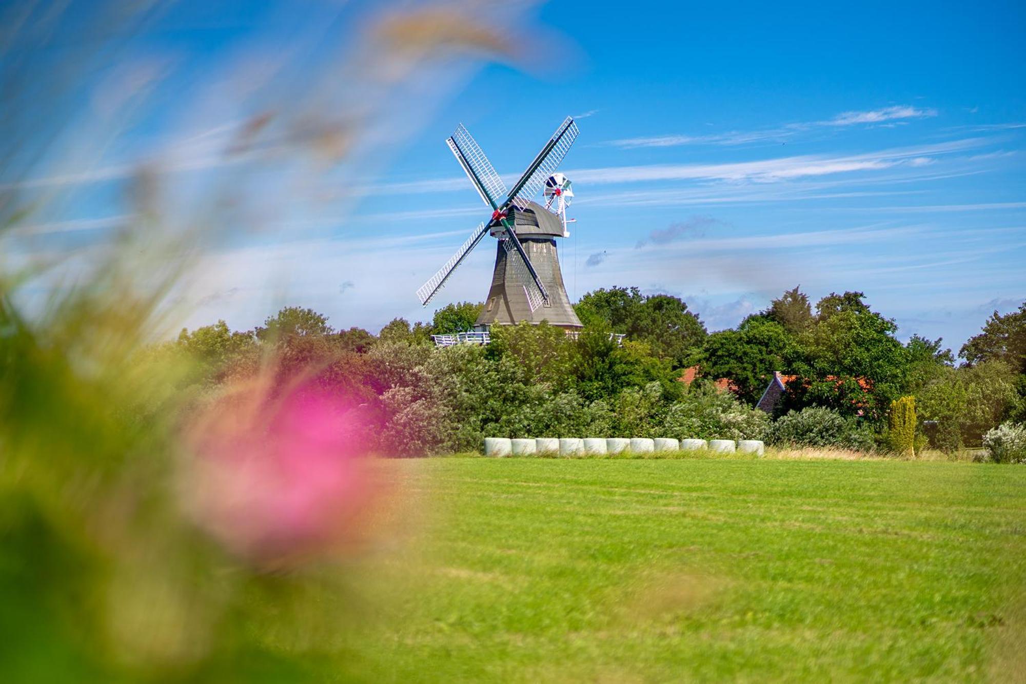 Deichblick Villa Greetsiel Buitenkant foto